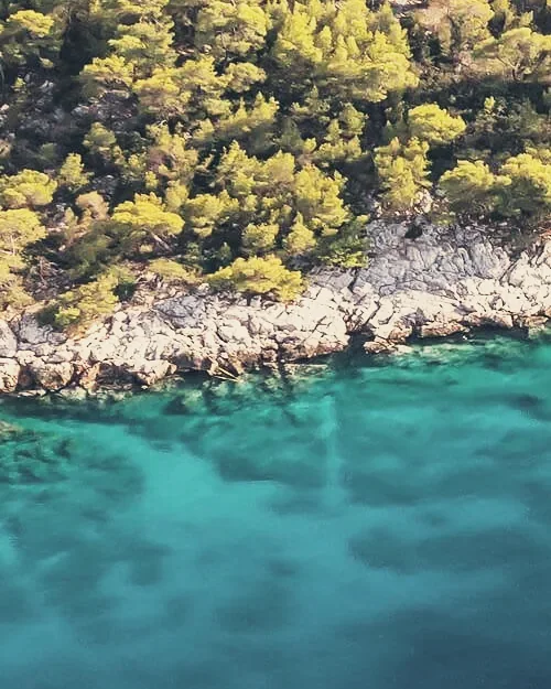 Pine-covered rocks above clear turquoise water